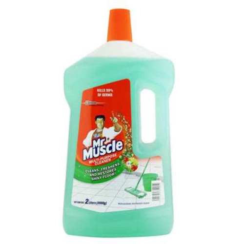 MR.MUSCLE FLOOR CLNR - MORNING FRESHNESS 2L