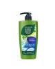 FOLLOW ME GREEN TEA SHP 6IN1 650ML