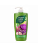 FOLLOW ME GREEN TEA SHP A.HAIR FALL 650ML