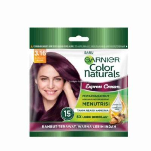 GARNIER EXPRESS CREAM HAIR COLOR 3.16 20ML+20G