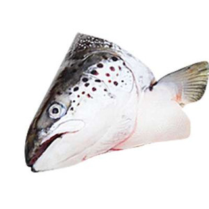 SALMON TROUT HEAD 250G-350G (FINEST)