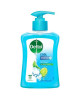 DETTOL HANDWASH COOL 250ML