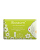 BLOSSOM PANTILINER ULTRA THIN 30'S TP(BL07)