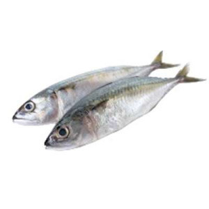 FINEST IKAN KEMBONG 1KG FINEST IKAN KEMBONG 1KG