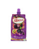 RIBENA REGULAR PET 450ML