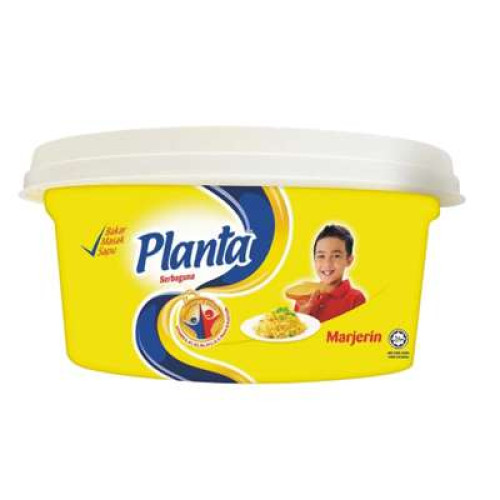 PLANTA MARGARINE NEW 240G