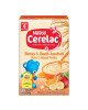 NESTLE CELERAC RICE MIX FRUITS 250G