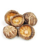 FOOD GARDEN DRIED MUSHROOM 100G