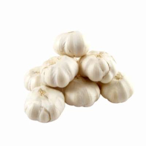 GARLIC-KG GARLIC-KG