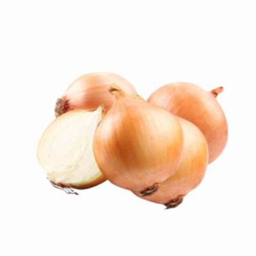 BIG ONION-KG