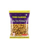 TONG GARDEN SALTED PEANUT 42G