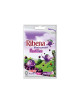 RIBENA PASTILLE REGULAR ZIPLOCK 20S