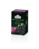 AHMAD TEA BLACKCURRENT 20S