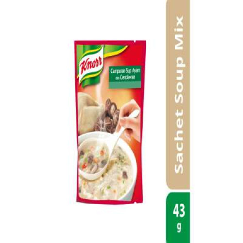 KNORR CHICKEN & MUSHROOM 43G