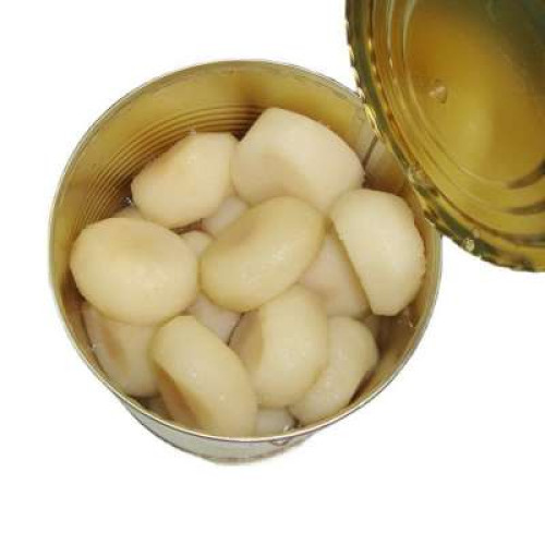 WAN BRAND WATER CHESTNUTS 567G