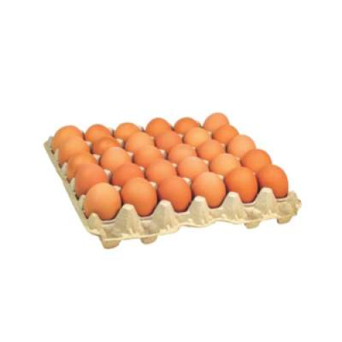 CKC OMEGA 3 FRESH EGG B 30'S