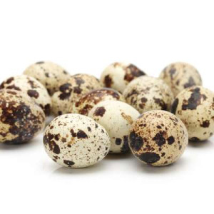 FRESH QUAIL EGG 15'S FRESH QUAIL EGG 15'S