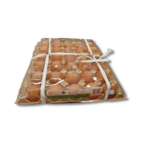 QL OMEGA EGGS (L) 30S QL OMEGA EGGS (L) 30S