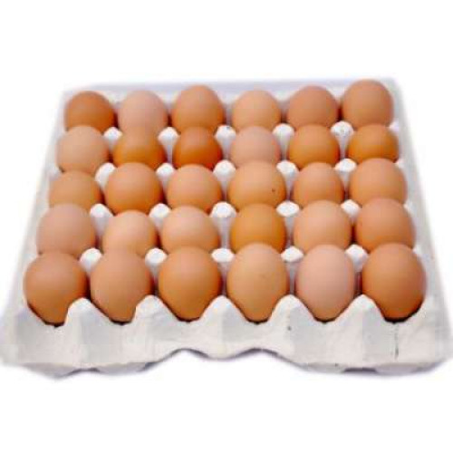 QL OMEGA EGGS (M) 30S