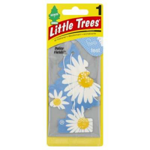 LITTLE TREE DAISY FIELDS 1S