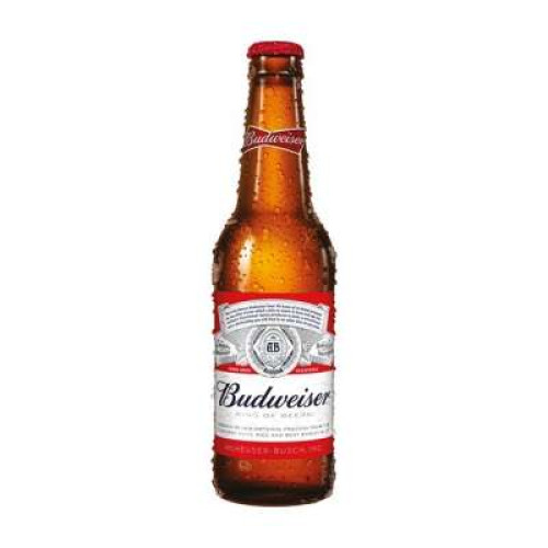 BUDSWEISER 5% BOTTLES 355ML